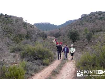 Senderismo Guadalajara - Monumento Natural Tetas de Viana. puente de pilar; berrea monfrague